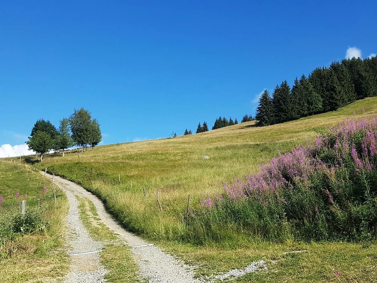 Апартаменты La Grande Cordee - Coeur D'Alpage Комблу